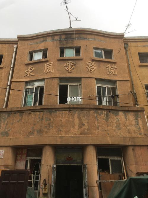 成年人网毛片的相关介绍